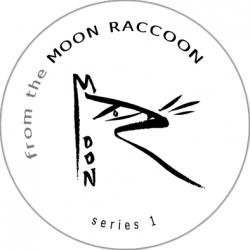 moonraccoon's avatar